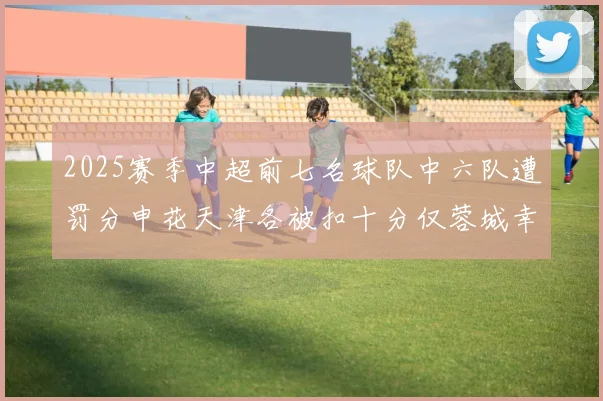 2025赛季中超前七名球队中六队遭罚分申花天津各被扣十分仅蓉城幸免