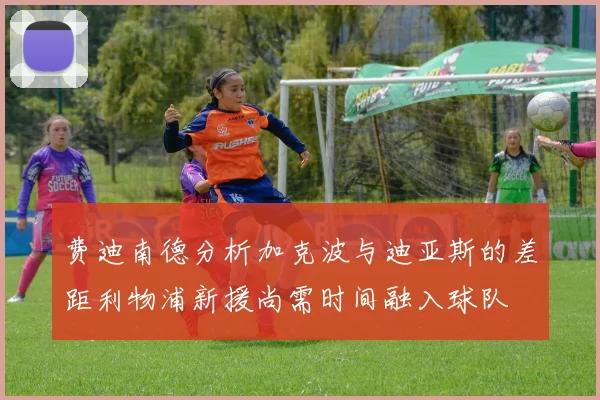 费迪南德分析加克波与迪亚斯的差距利物浦新援尚需时间融入球队